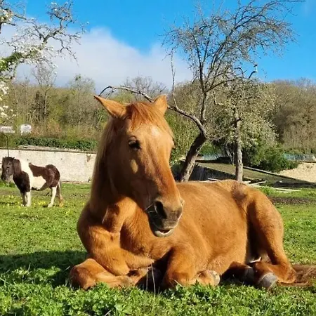La Nature * Boissettes